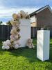 Gender reveal feestpakket met beige teddybeer en drukknop op de zuil