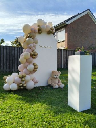 Afbeelding voor categorie Gender Reveal Pakketten
