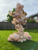 Grote teddybeer in organische ballonstandaard